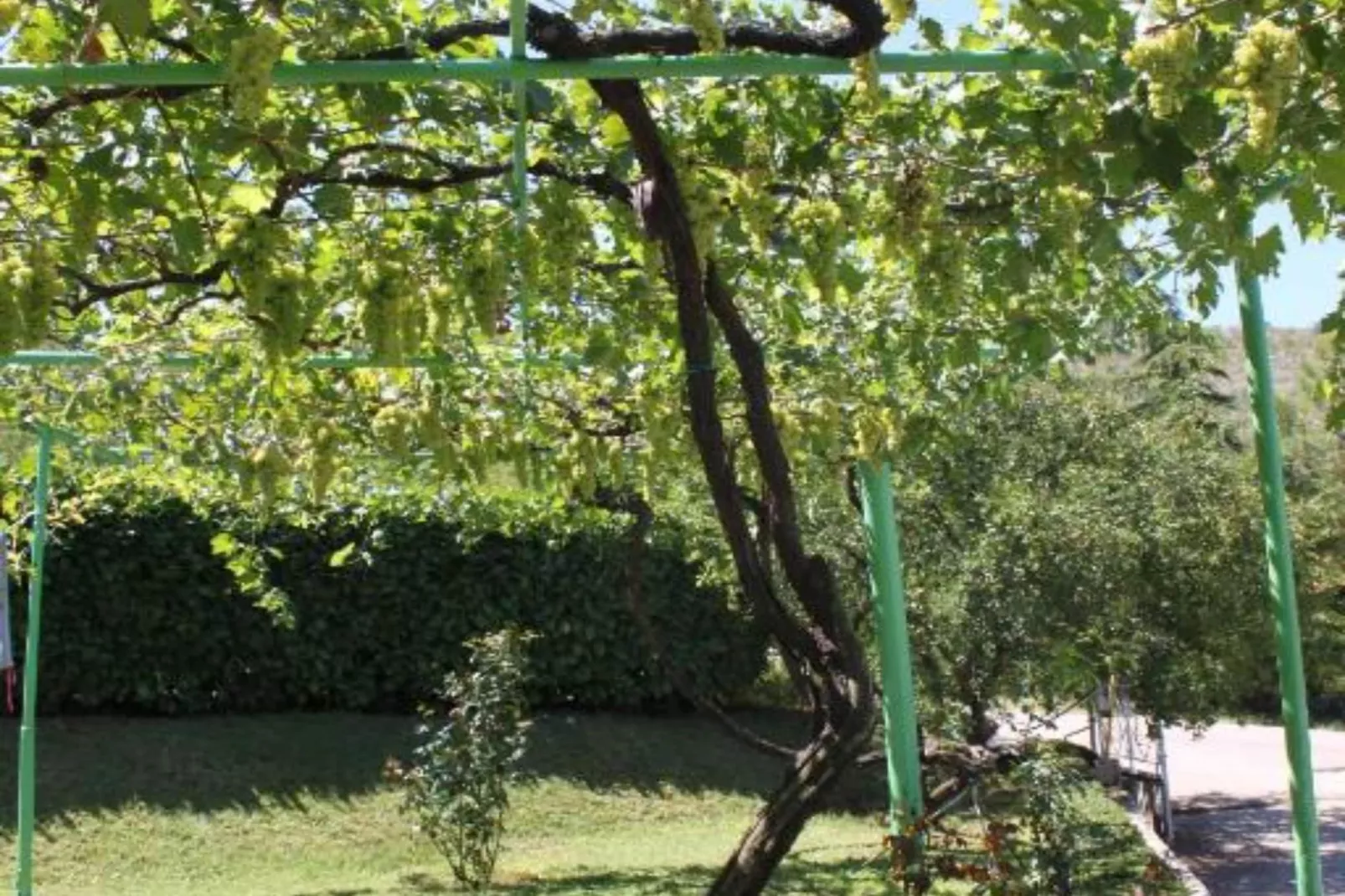 Double bed 1-Buitenlucht