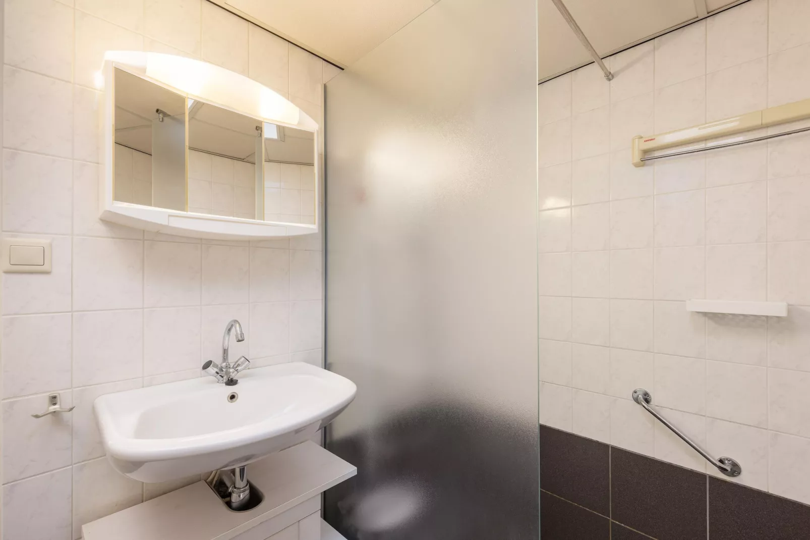 Vakantiepark de Berkenhorst 16 - Badkamer