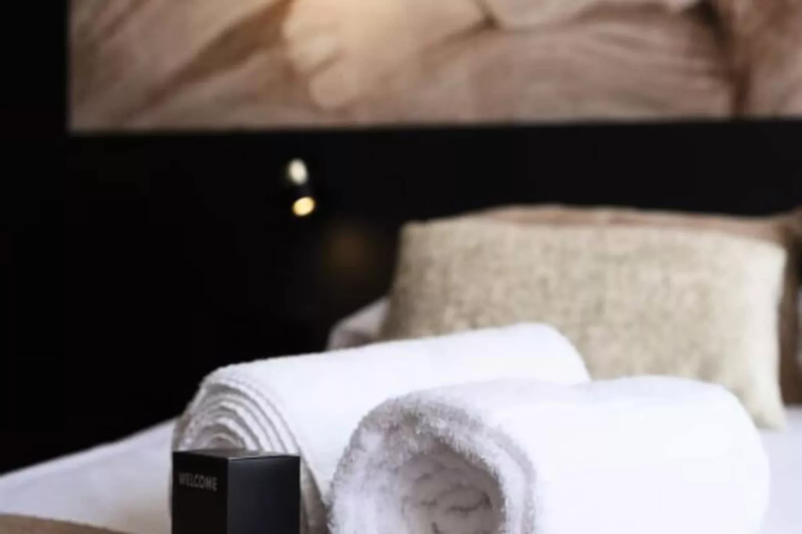 Les Perchoirs De Stanislas 2 - Logement De Standing Hyper Centre-Niet-getagd