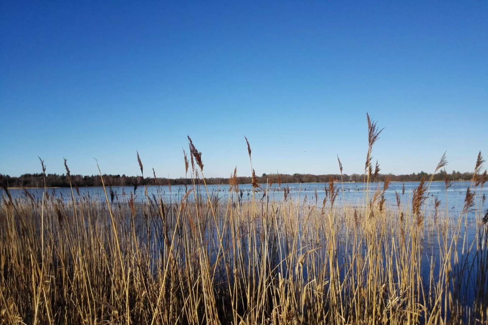 Rustieke Cottage nabij Kvie Lake-By Traum-Waterzicht