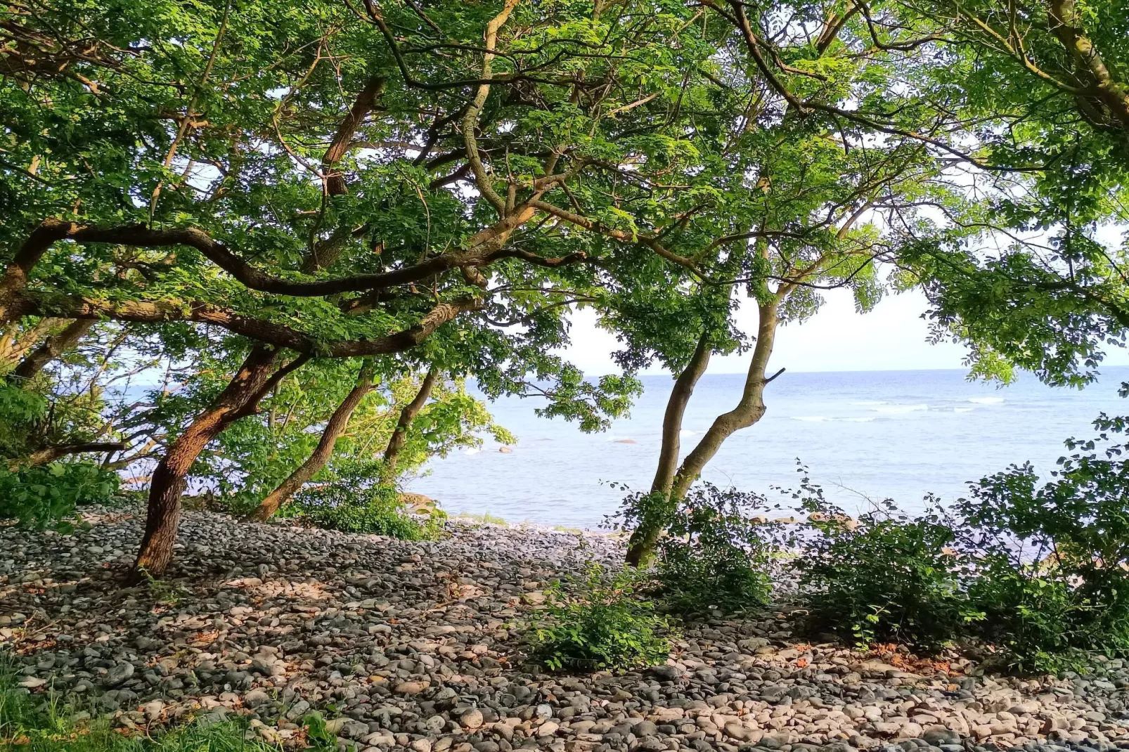 4 persoons vakantie huis in Borre-Waterzicht