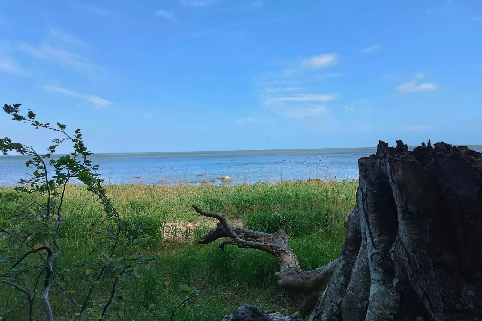 Kustcharme in Boged-By Traum