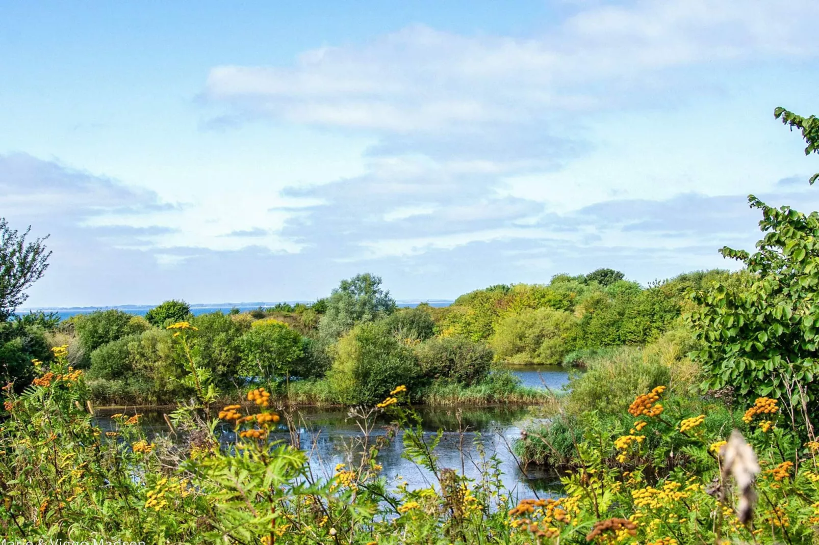 4 persoons vakantie huis in Assens-Waterzicht