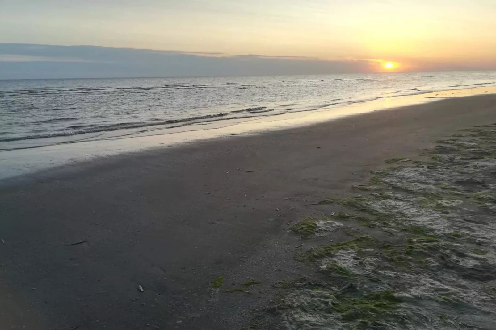 Kustcharme in Rindby-Waterzicht