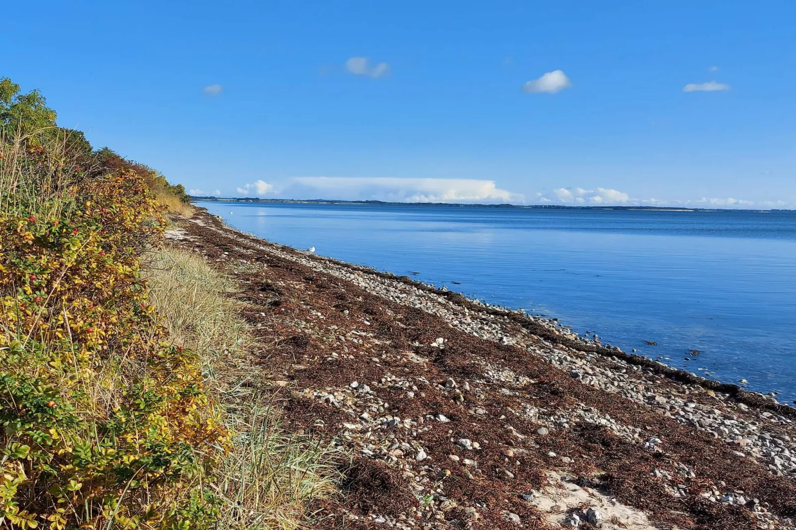 6 persoons vakantie huis in Sjølund-Waterzicht