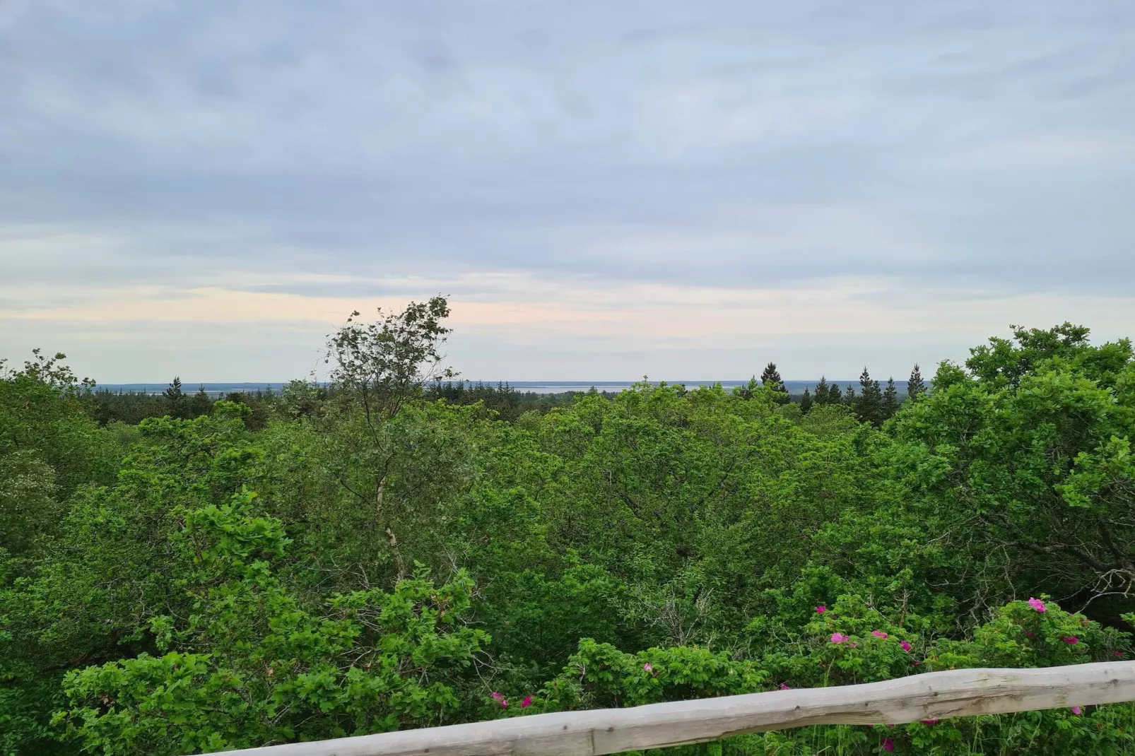 24 persoons vakantie huis in Nørre Nebel-Niet-getagd