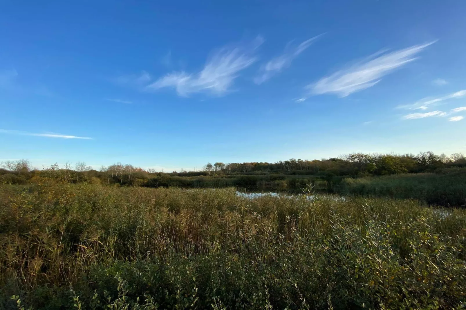 6 persoons vakantie huis in Bredebro-Niet-getagd