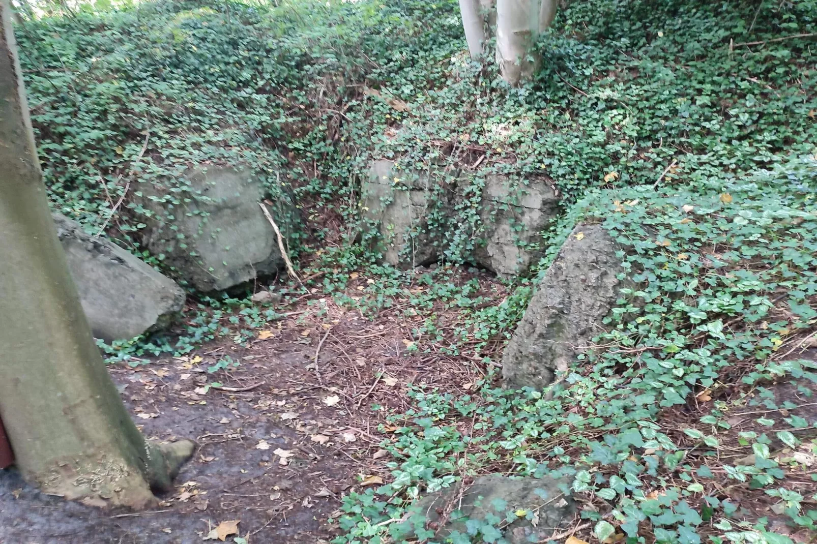 Moderne Cottage-oase in Arrild-Niet-getagd