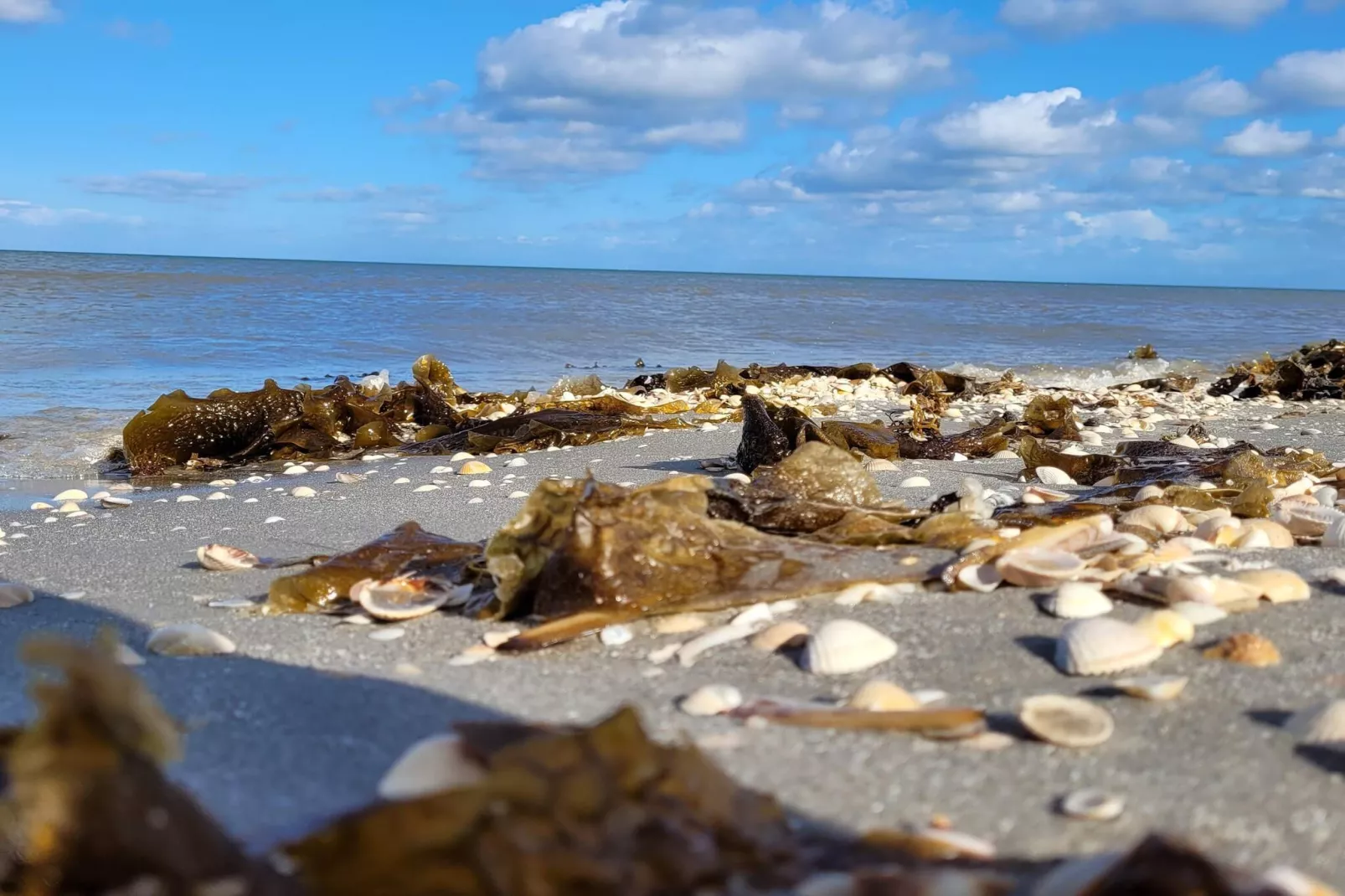 10 persoons vakantie huis in Sæby-Waterzicht
