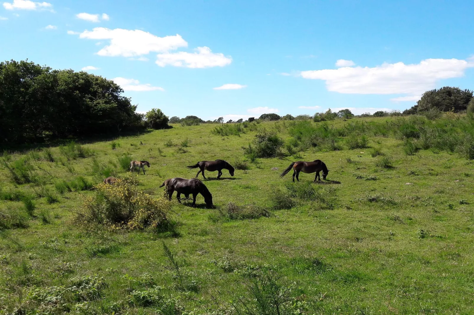 6 persoons vakantie huis in Ebeltoft-Niet-getagd