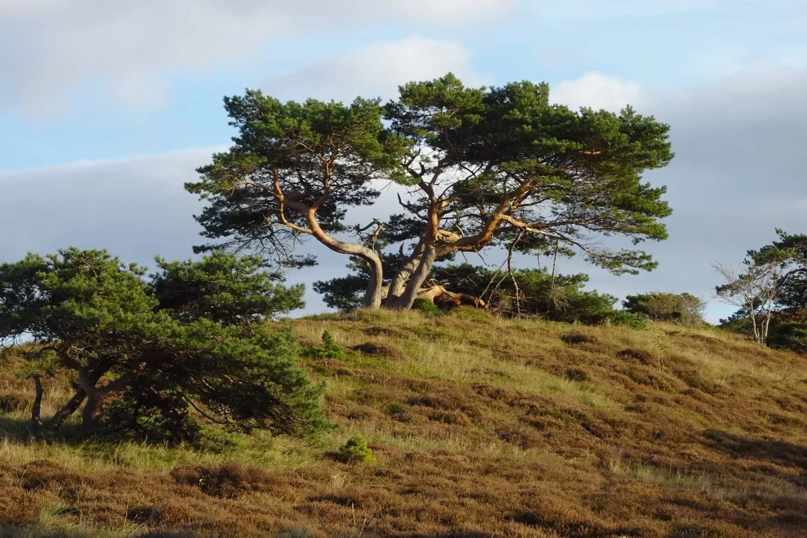 6 persoons vakantie huis in Vejby-By Traum-Waterzicht