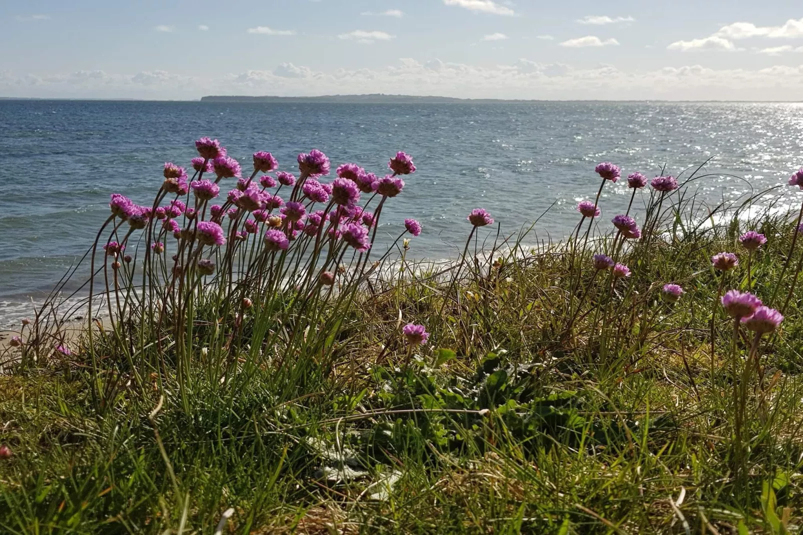 4 persoons vakantie huis in Nykøbing M-By Traum-Waterzicht