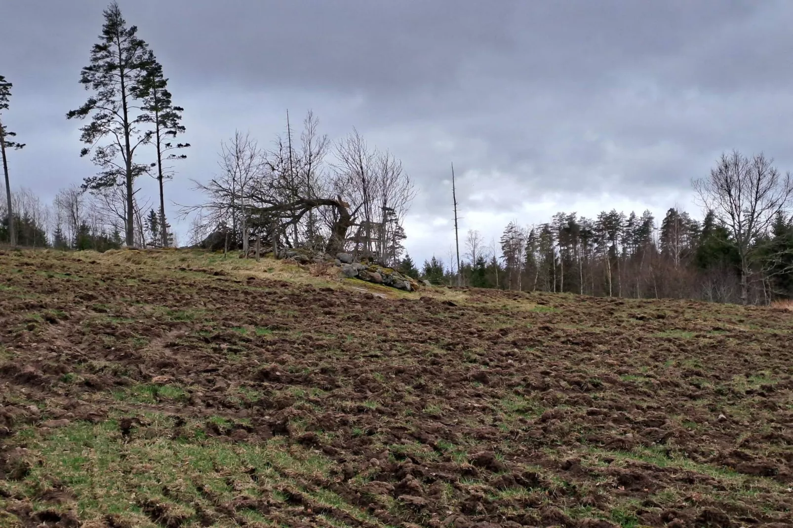 4 persoons vakantie huis in VETLANDA-By Traum-Niet-getagd