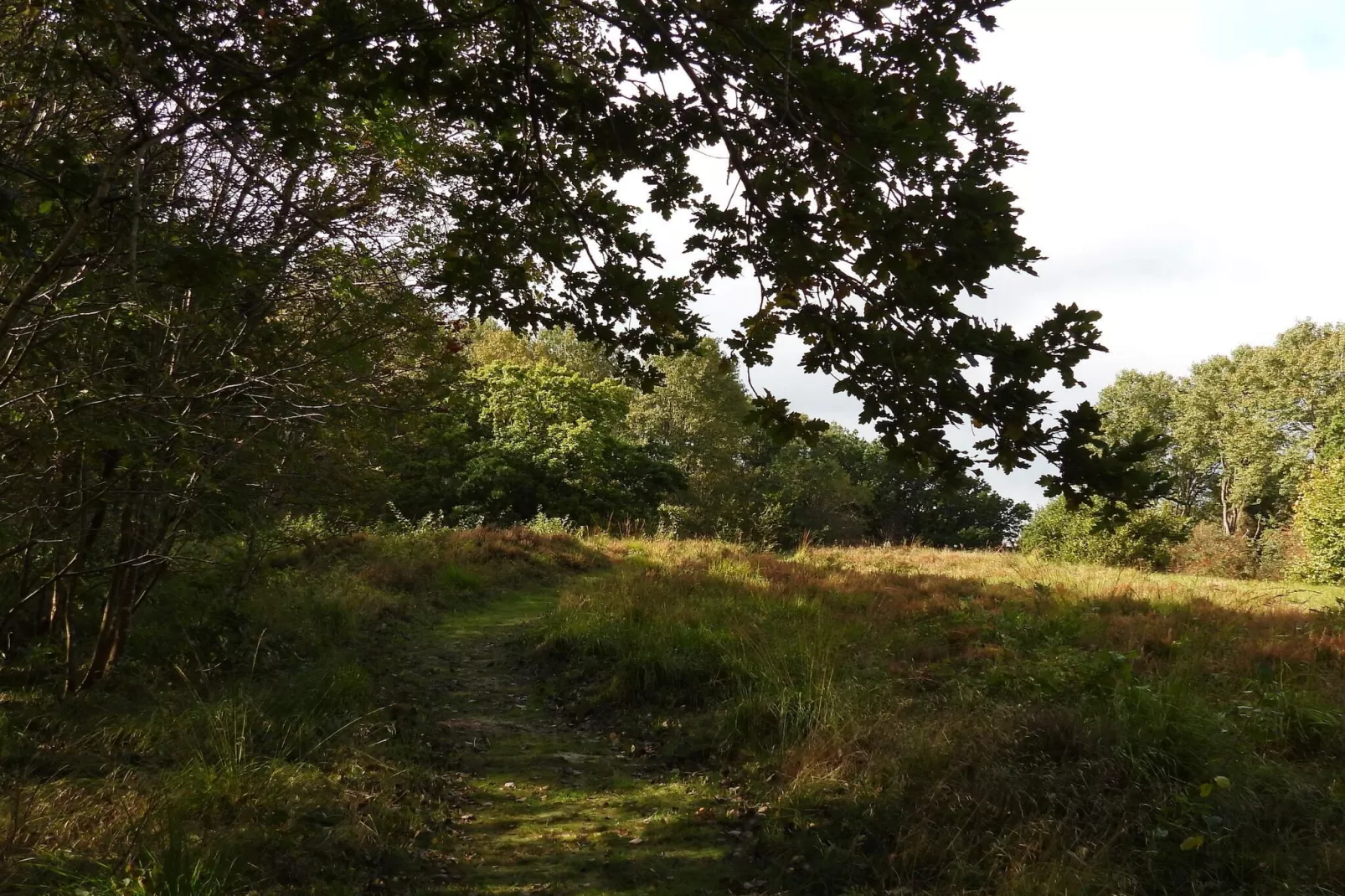 Rustiek huisje met open haard-Niet-getagd