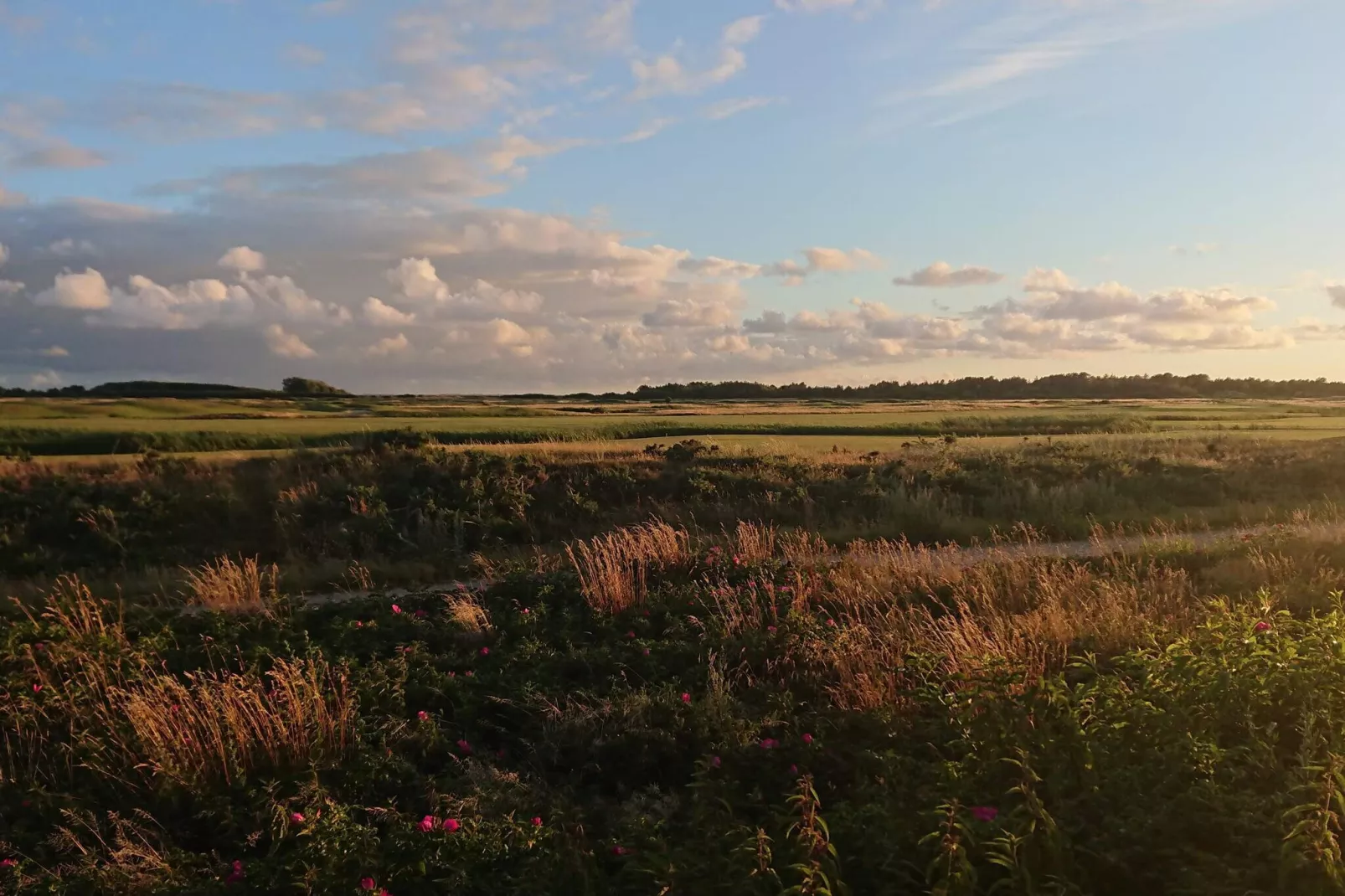 Huisdiervriendelijk Rømø Getaway Appartement-Niet-getagd