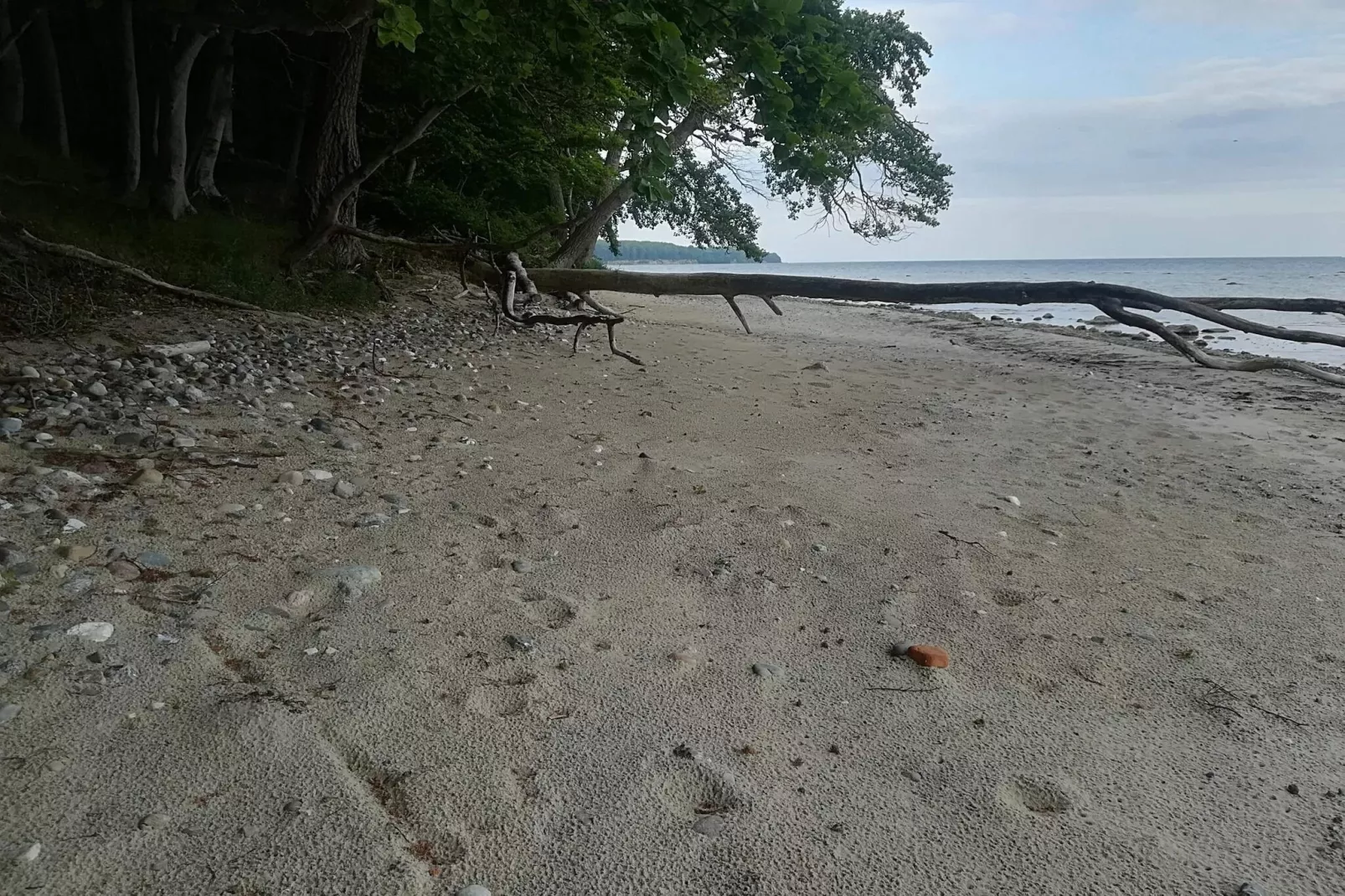 6 persoons vakantie huis in Væggerløse-Waterzicht