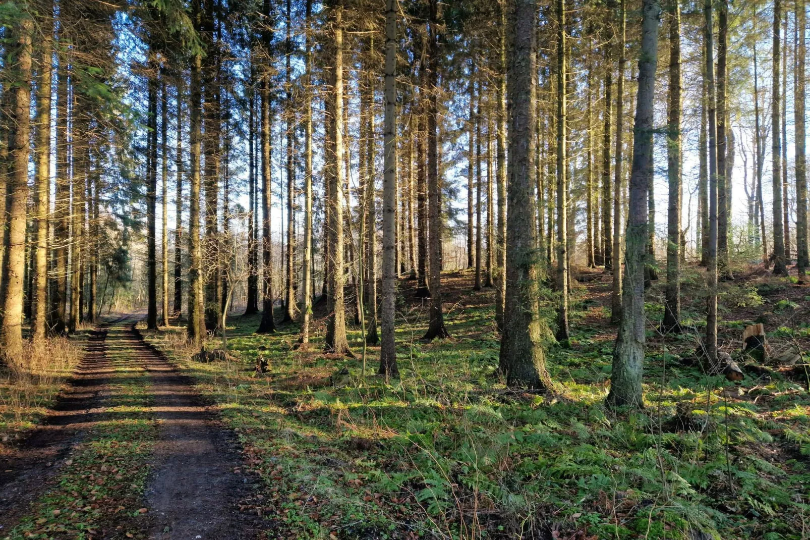 Zeezijde oase met Spa -- By Traum Ferienwohnungen
