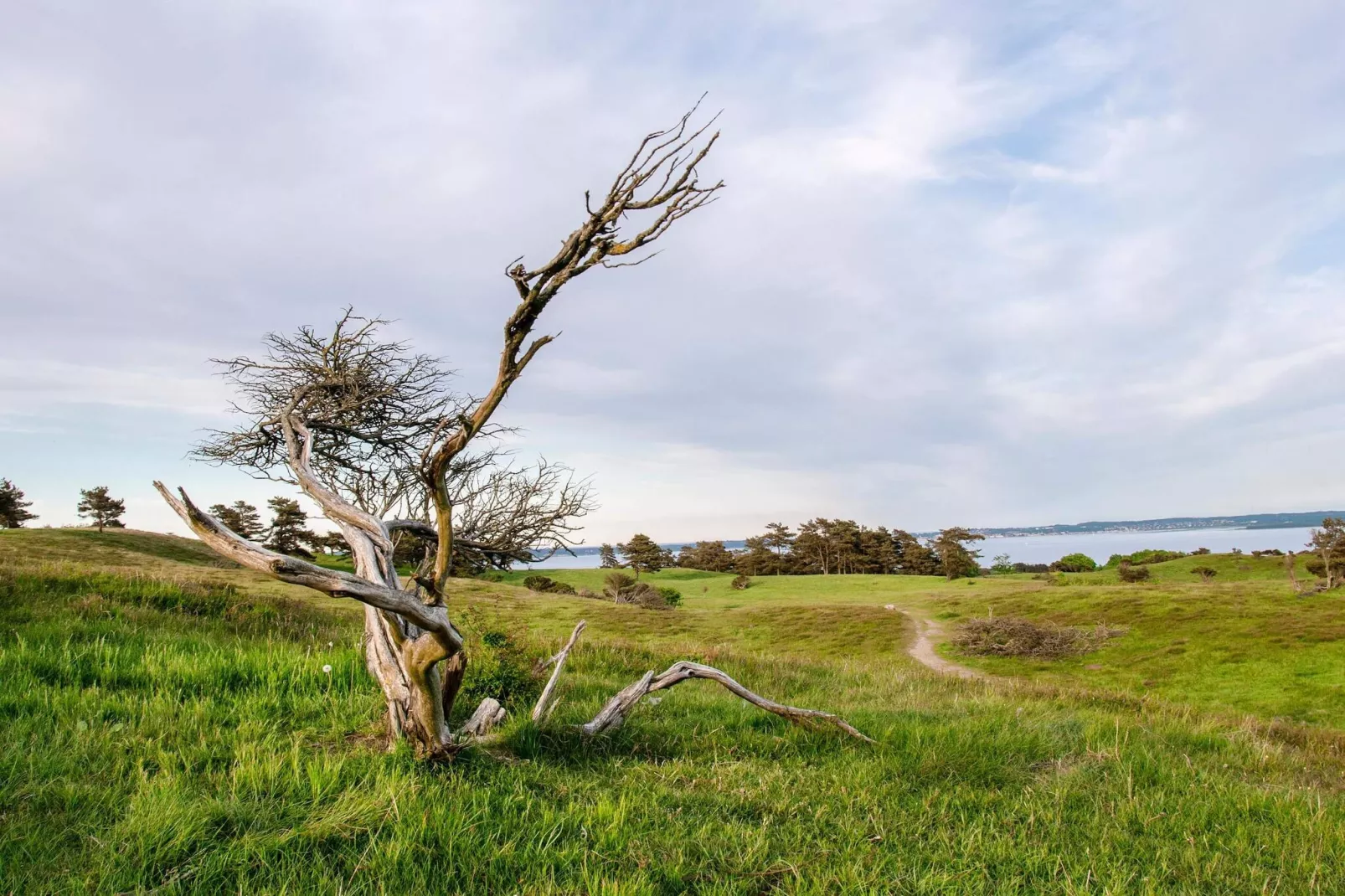 7 persoons vakantie huis in Knebel-By Traum-Niet-getagd