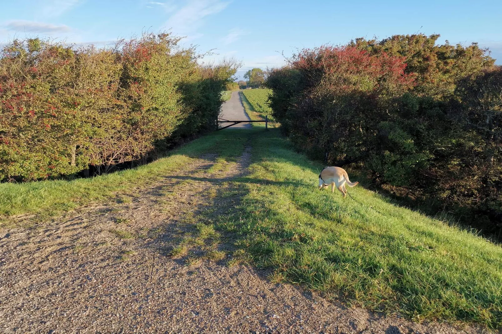 Kustretreat in Lolland -- By Traum Ferienwohnungen-Niet-getagd