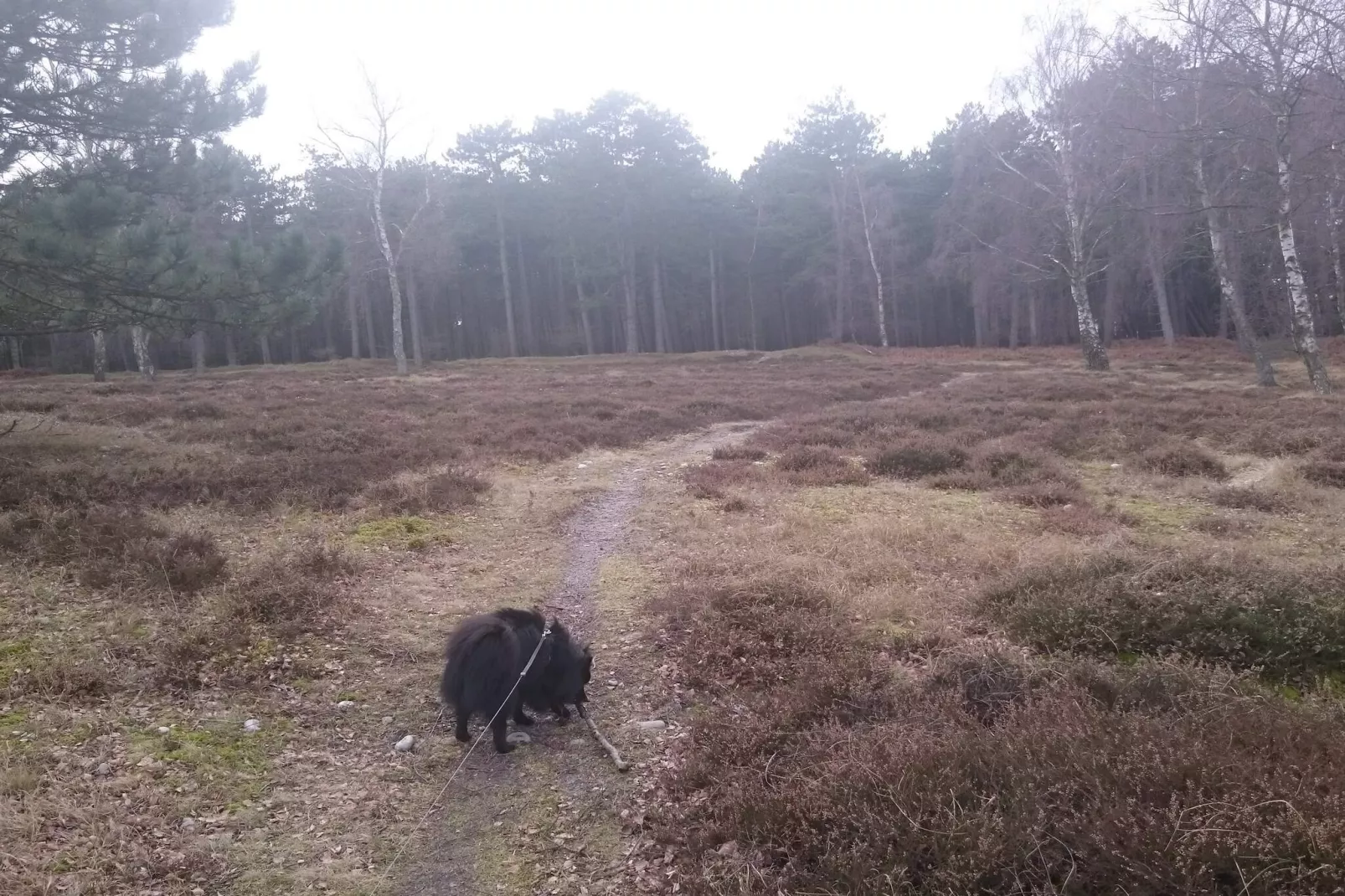 Kust ontsnapping in Praesto -- By Traum Ferienwohnungen-Niet-getagd