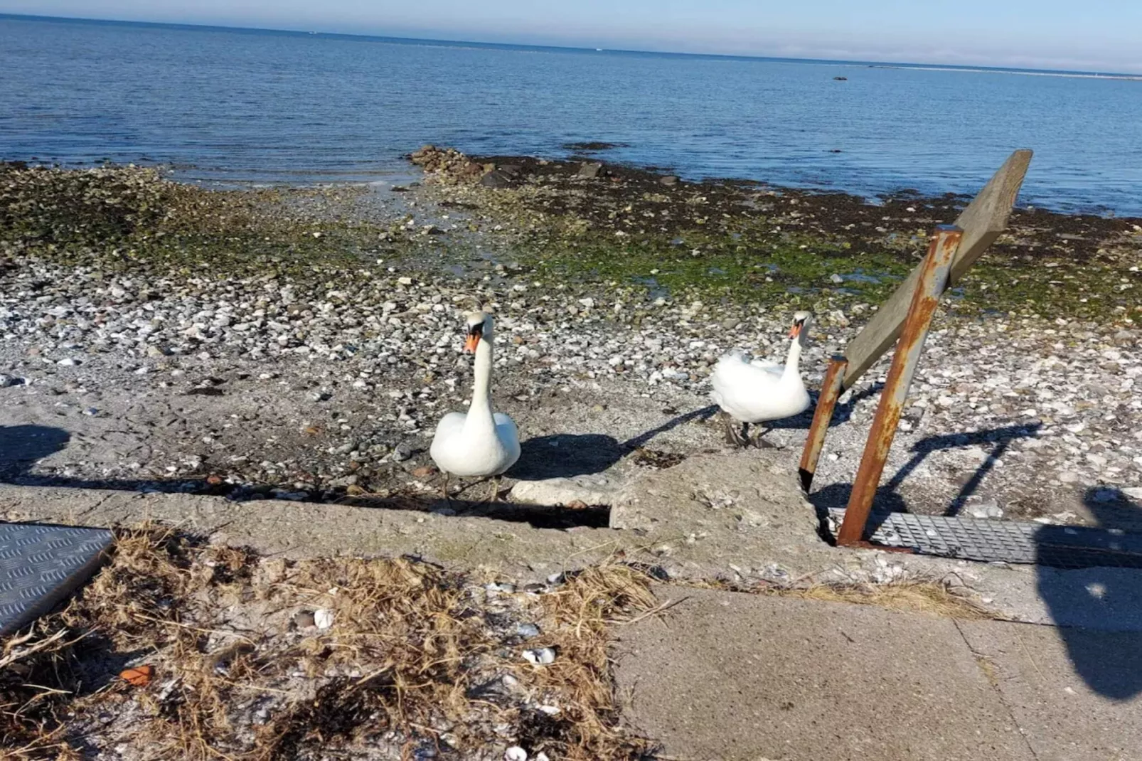BOGENSE MARINAPARK-Waterzicht