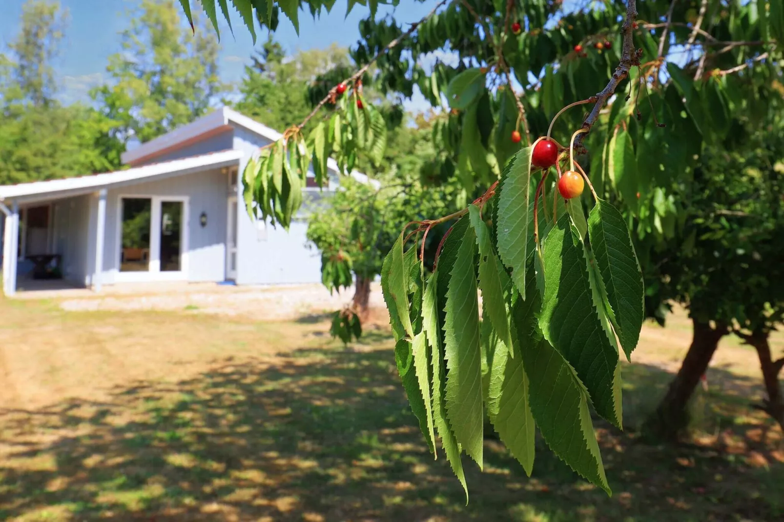 10 persoons vakantie huis in Dannemare-Uitzicht