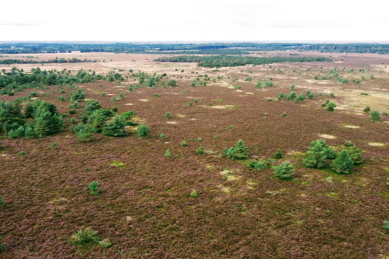 5 persoons vakantie huis in Hovborg-By Traum-Niet-getagd