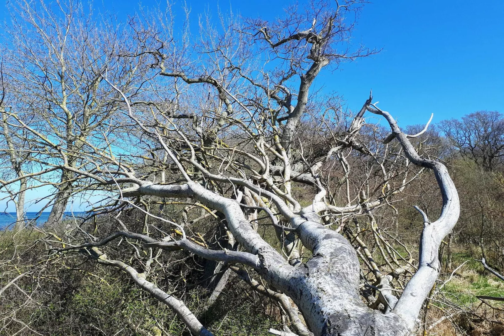 Luxe zwembadvilla in Lohals -- By Traum Ferienwohnungen-Niet-getagd