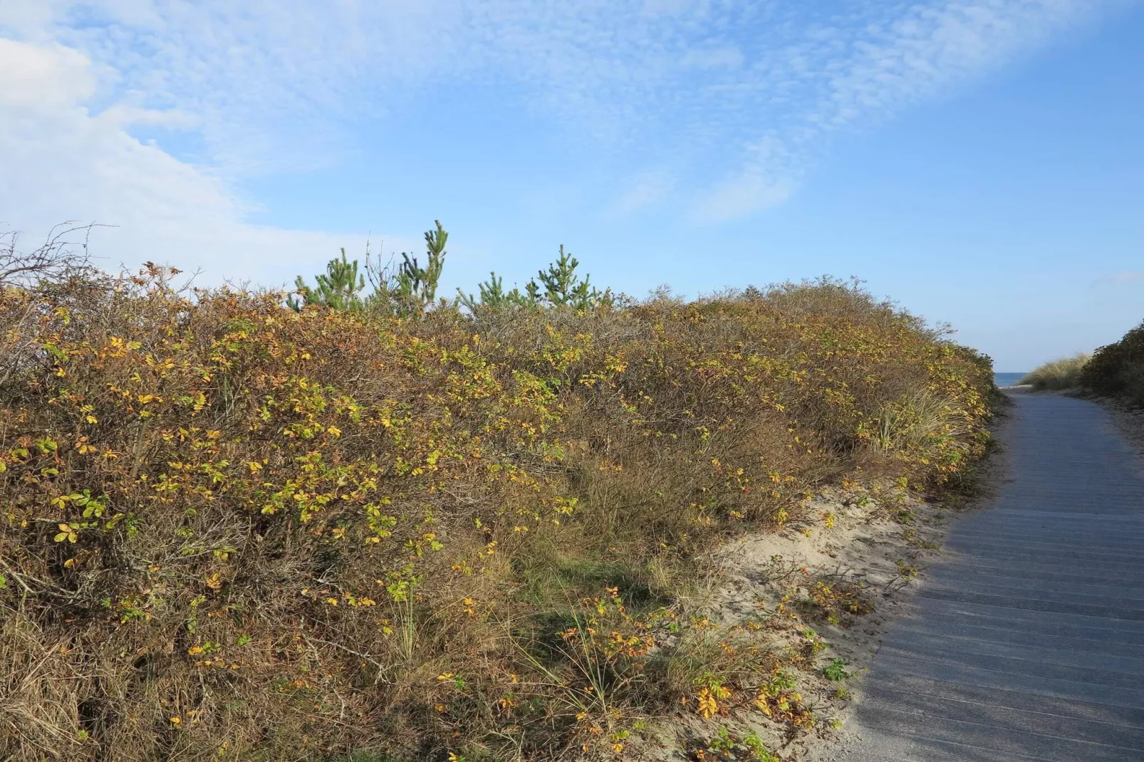 5 persoons vakantie huis in Strandby-By Traum-Niet-getagd