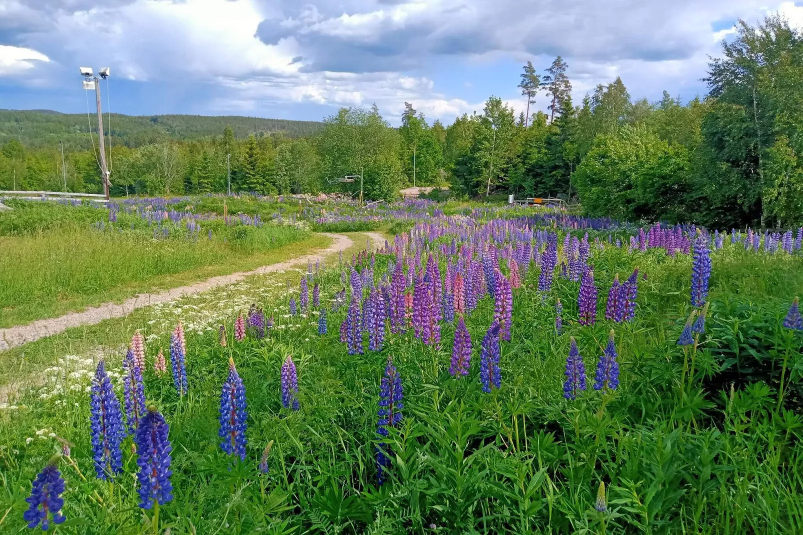 7 persoons vakantie huis in VIRSERUM-By Traum-Niet-getagd