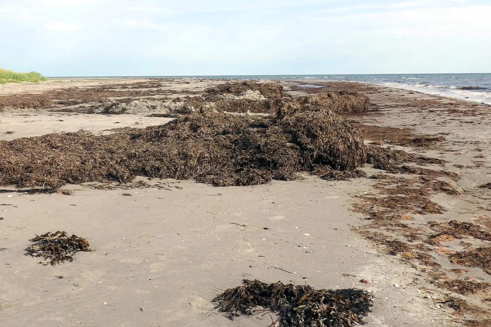 6 persoons vakantie huis in Læsø-By Traum-Niet-getagd