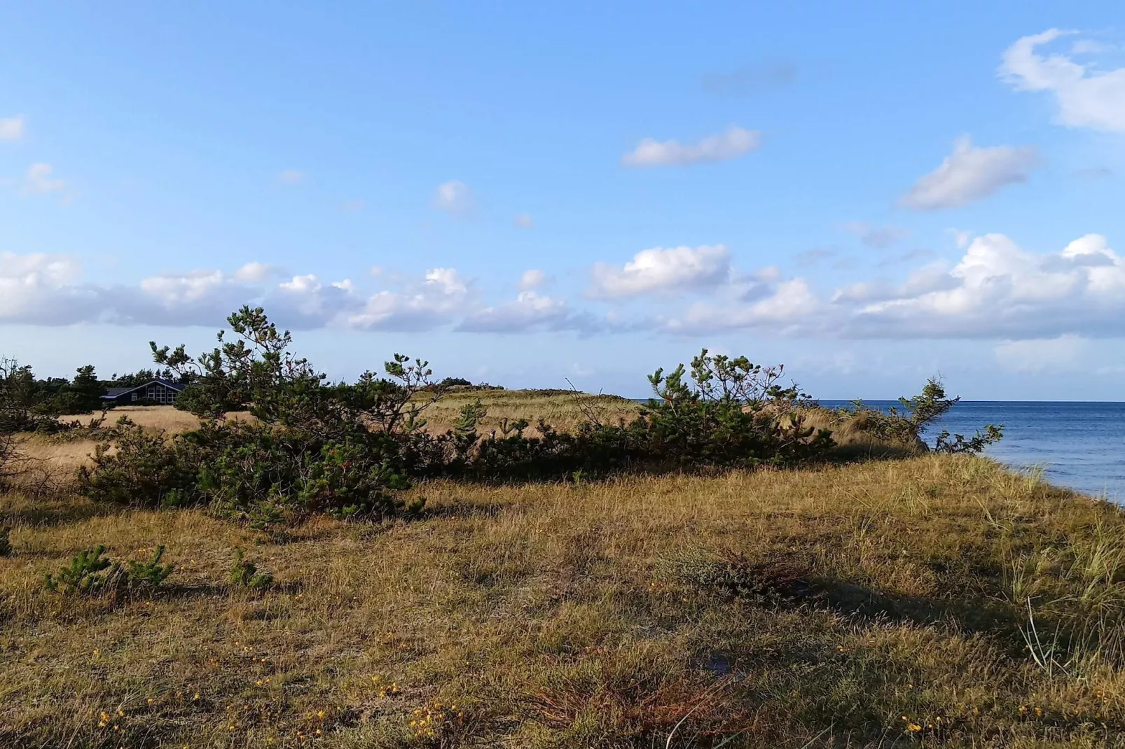 8 persoons vakantie huis in Sæby-Waterzicht
