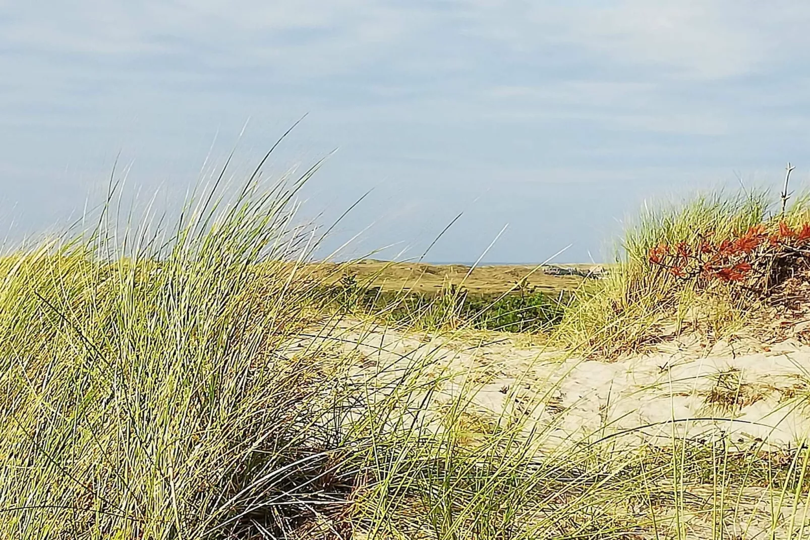 6 persoons vakantie huis in Ulfborg-By Traum-Niet-getagd