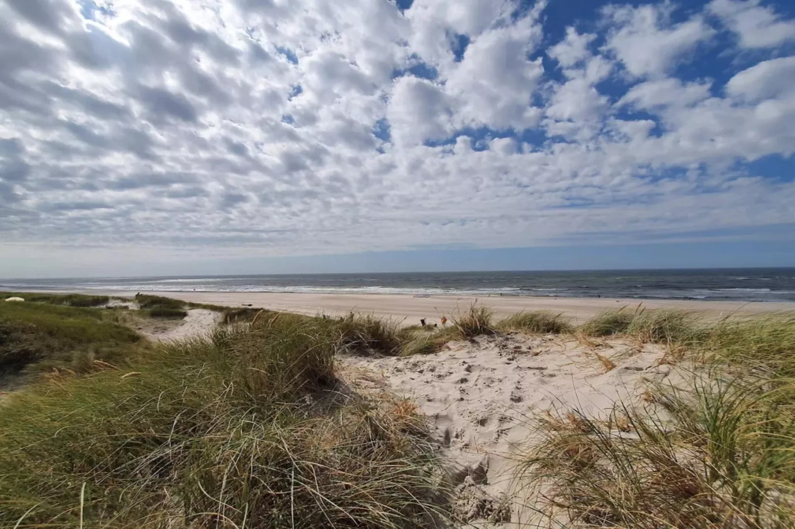 Luxe strandhuis in Henne -- By Traum Ferienwohnungen-Waterzicht