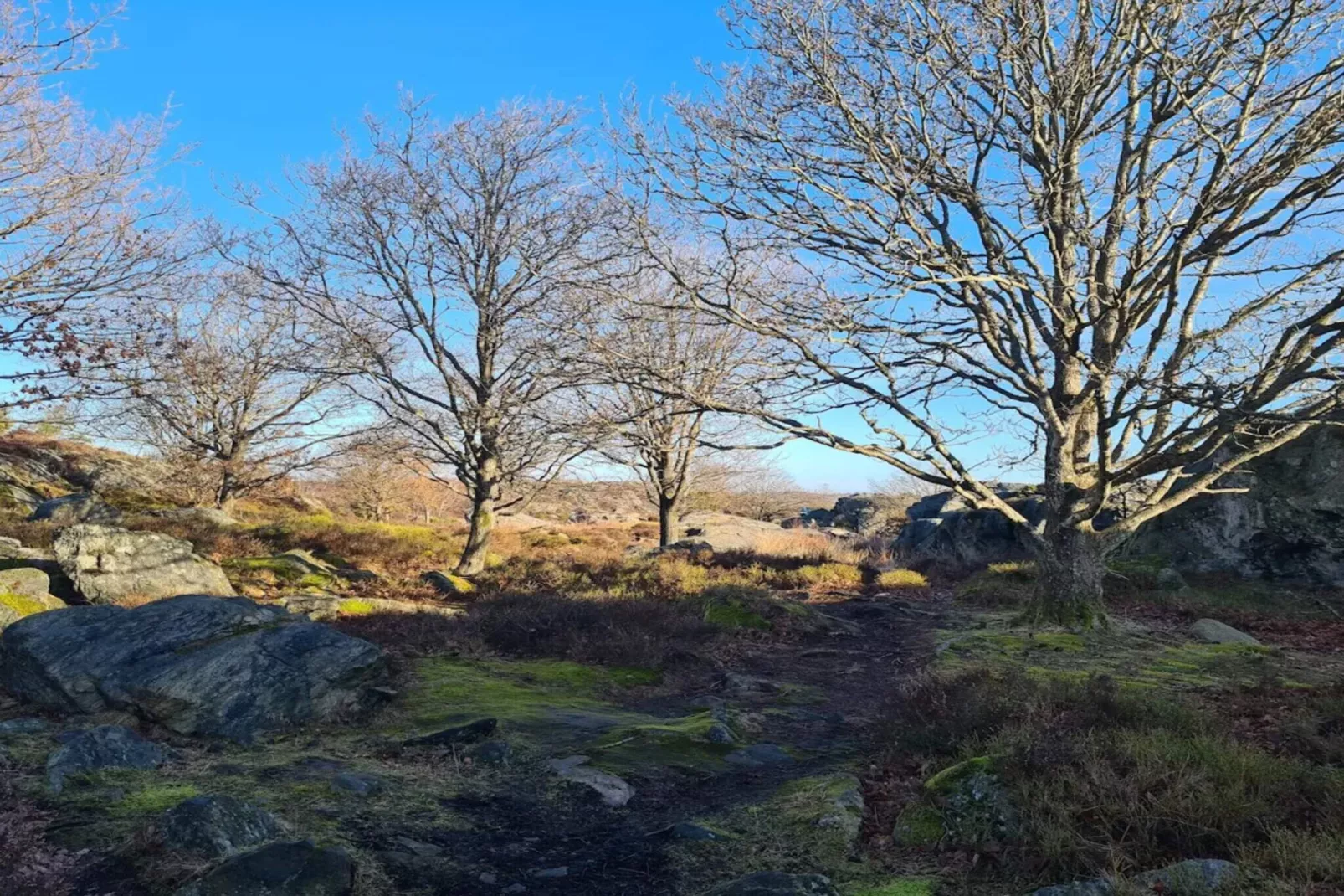 4 persoons vakantie huis in KYRKESUND-By Traum-Niet-getagd