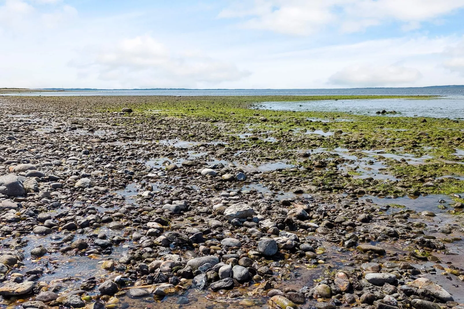 12 persoons vakantie huis in Løgstør-By Traum-Waterzicht