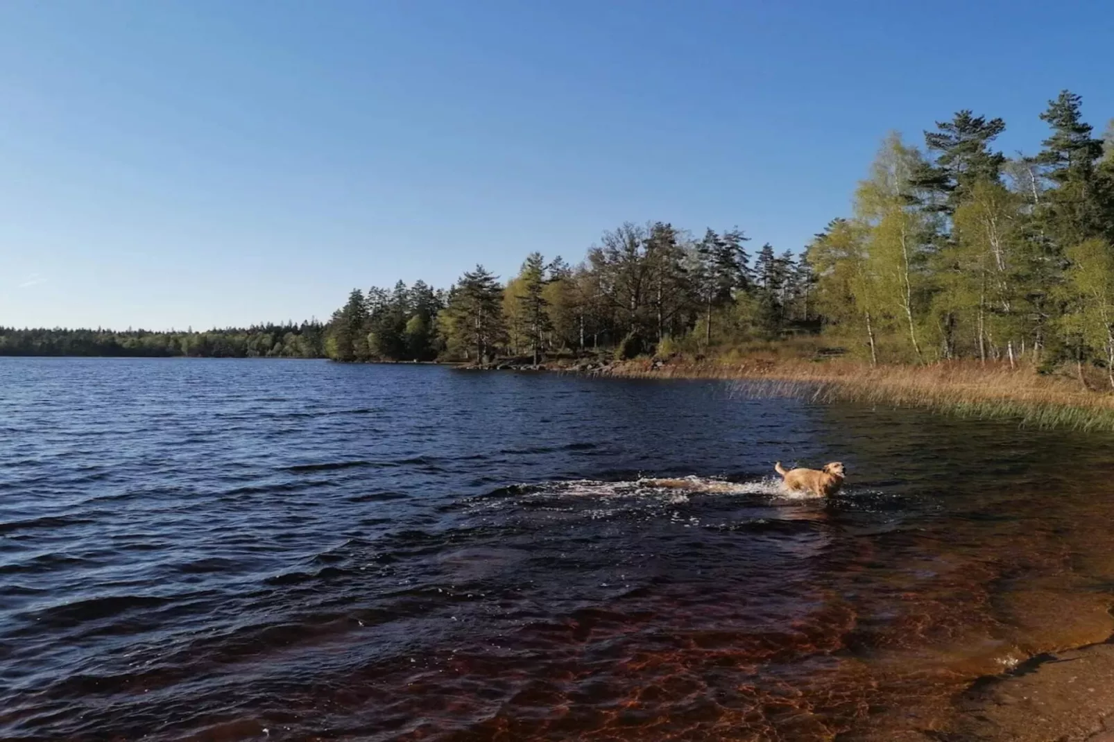 7 persoons vakantie huis in BRUZAHOLM-By Traum-Waterzicht