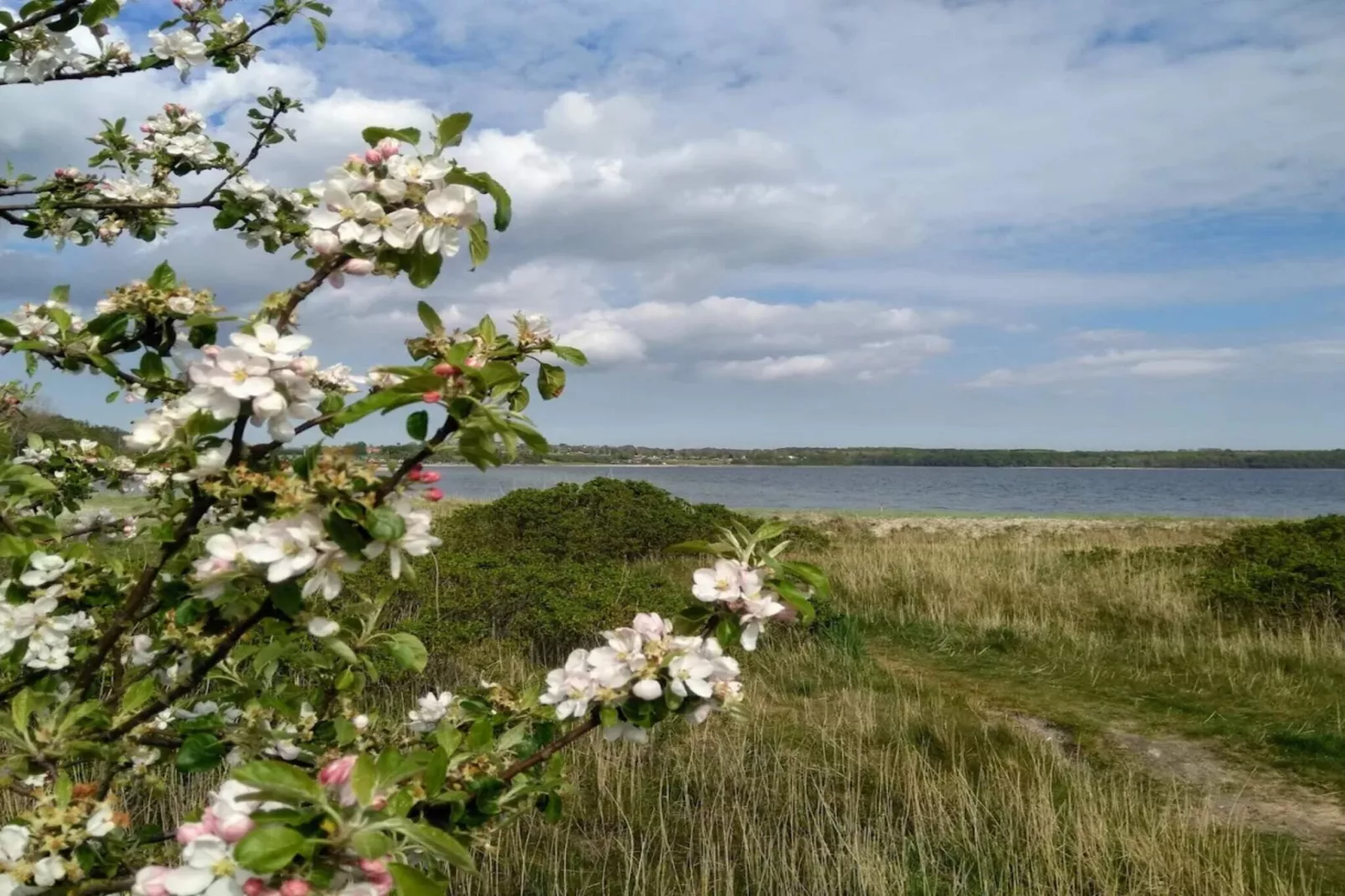 10 persoons vakantie huis in Rønde-By Traum-Waterzicht