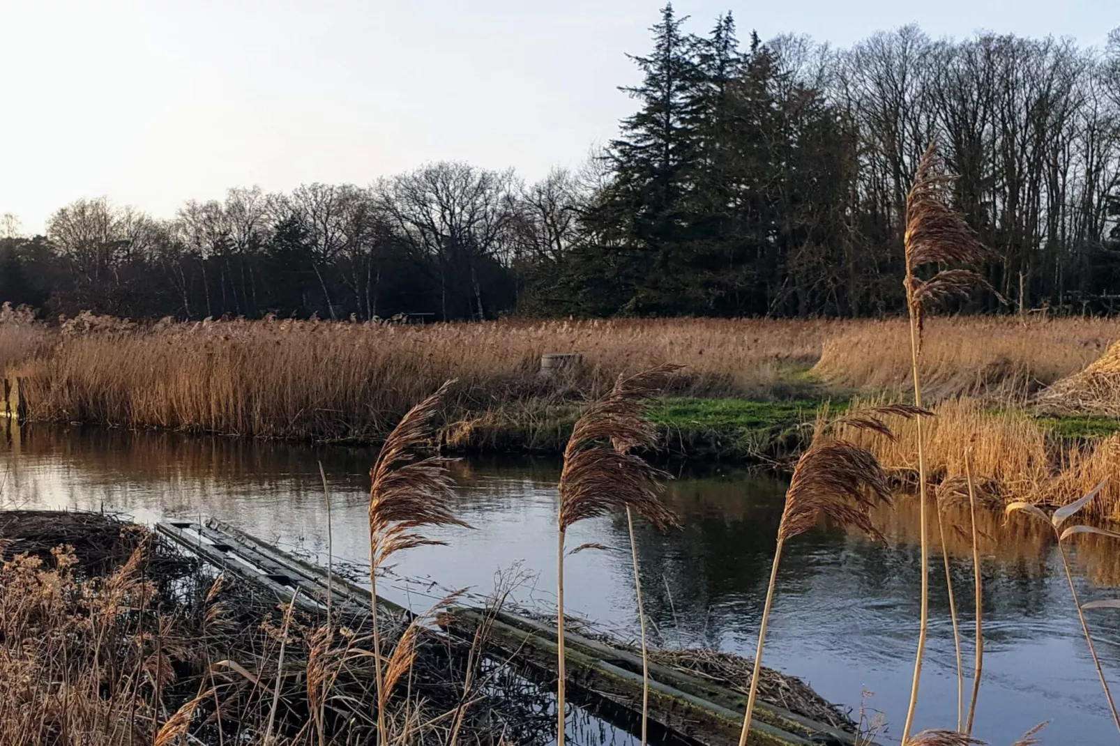 6 persoons vakantie huis in Store Fuglede-By Traum-Waterzicht