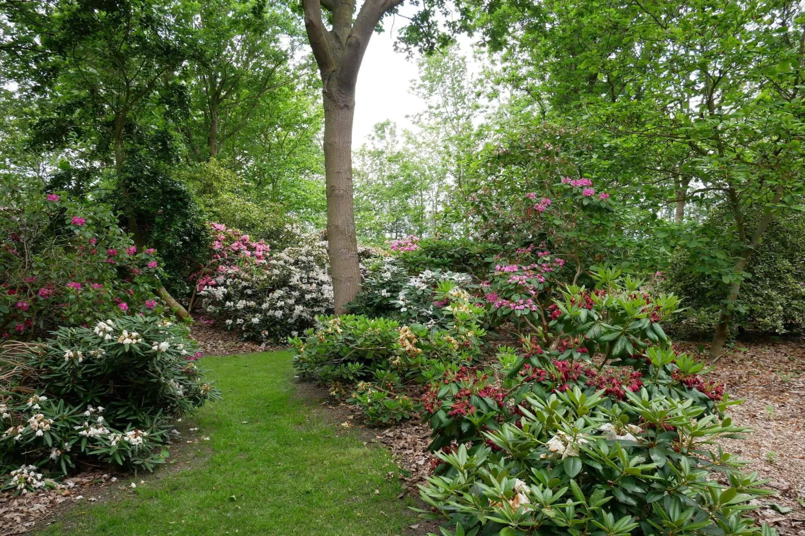 4 persoons vakantie huis in Nakskov-By Traum-Niet-getagd