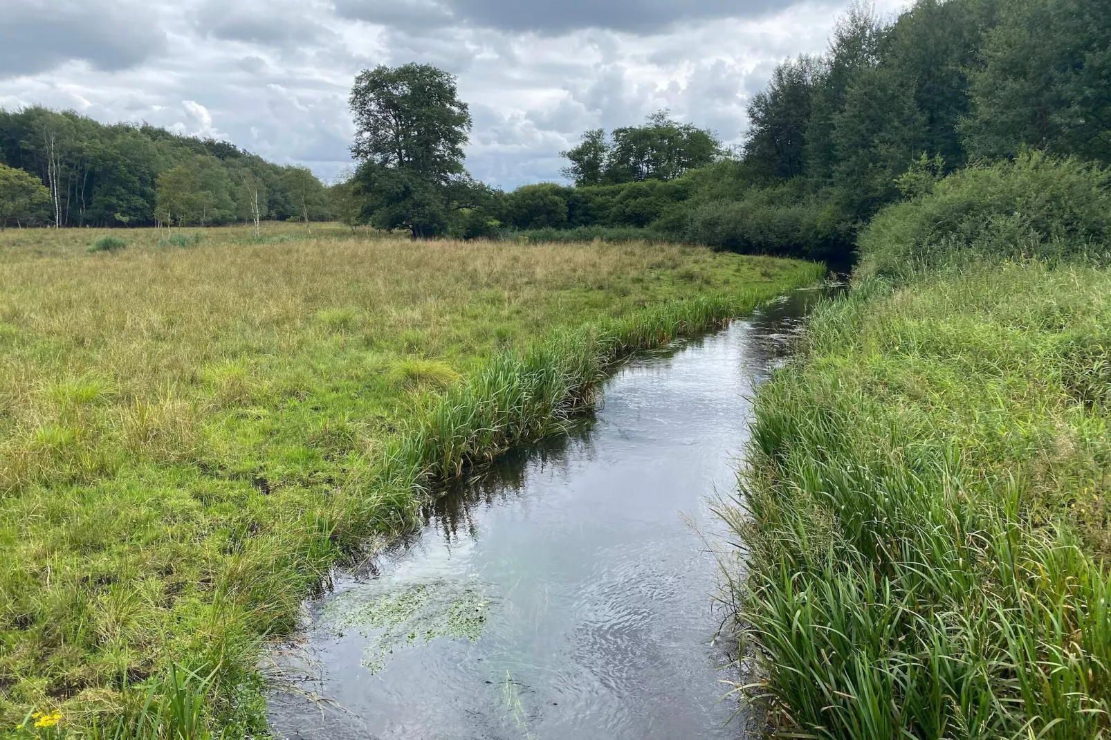 6 persoons vakantie huis in Hovborg-By Traum-Waterzicht