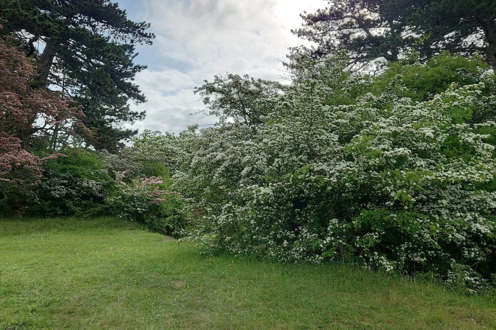 9 persoons vakantie huis in Skibby-Niet-getagd