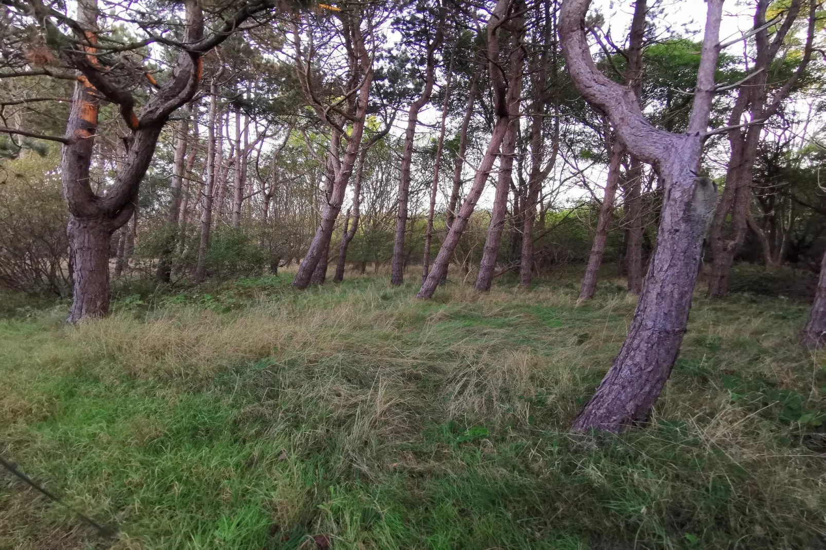 6 persoons vakantie huis in Dannemare-By Traum-Niet-getagd