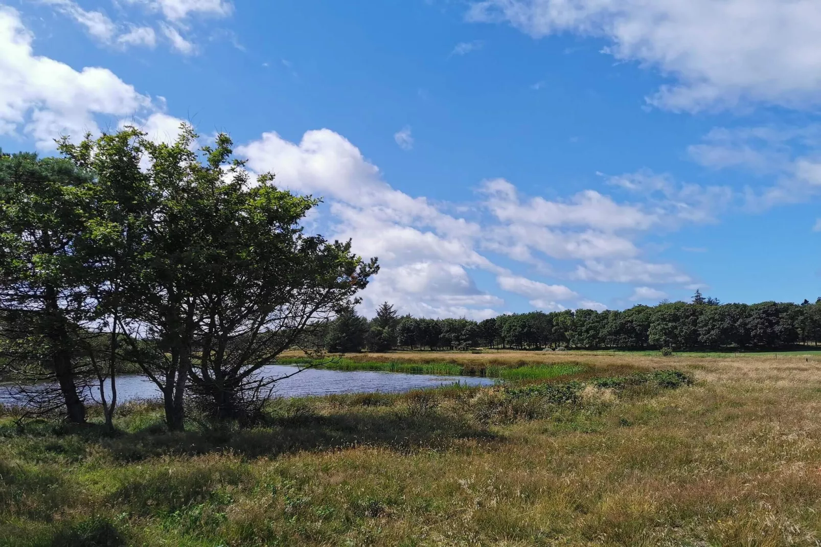 6 persoons vakantie huis in Vejers Strand-Waterzicht