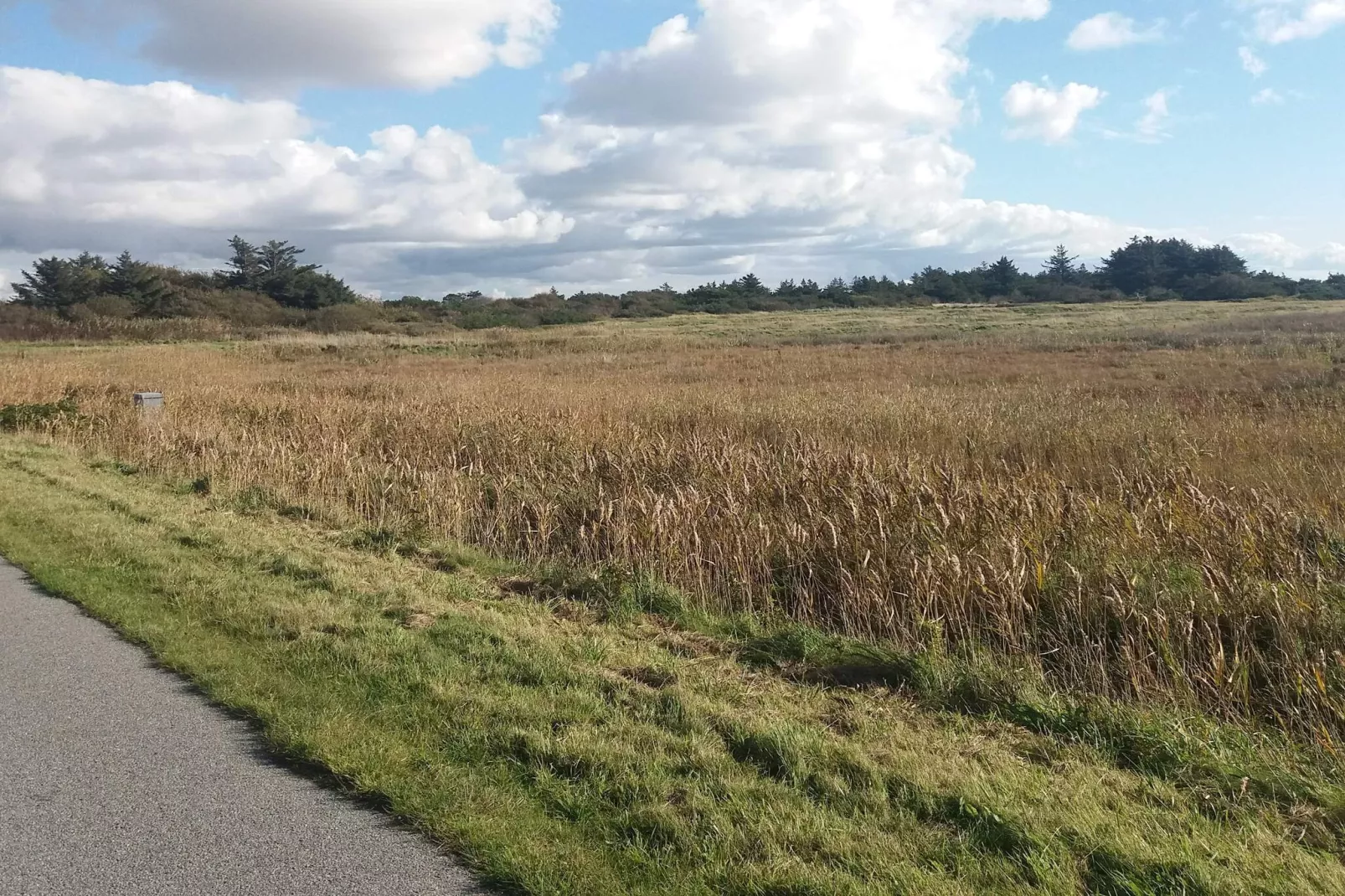 5 persoons vakantie huis in Ringkøbing-By Traum-Niet-getagd