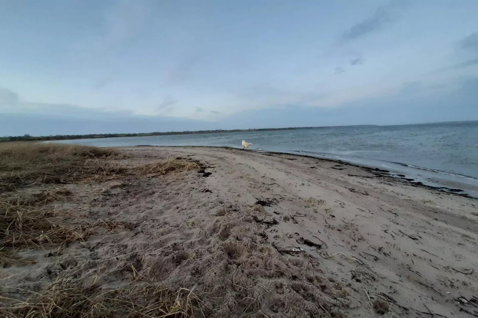 Ruim toevluchtsoord bij Limfjorden -- By Traum Ferienwohnungen-Waterzicht