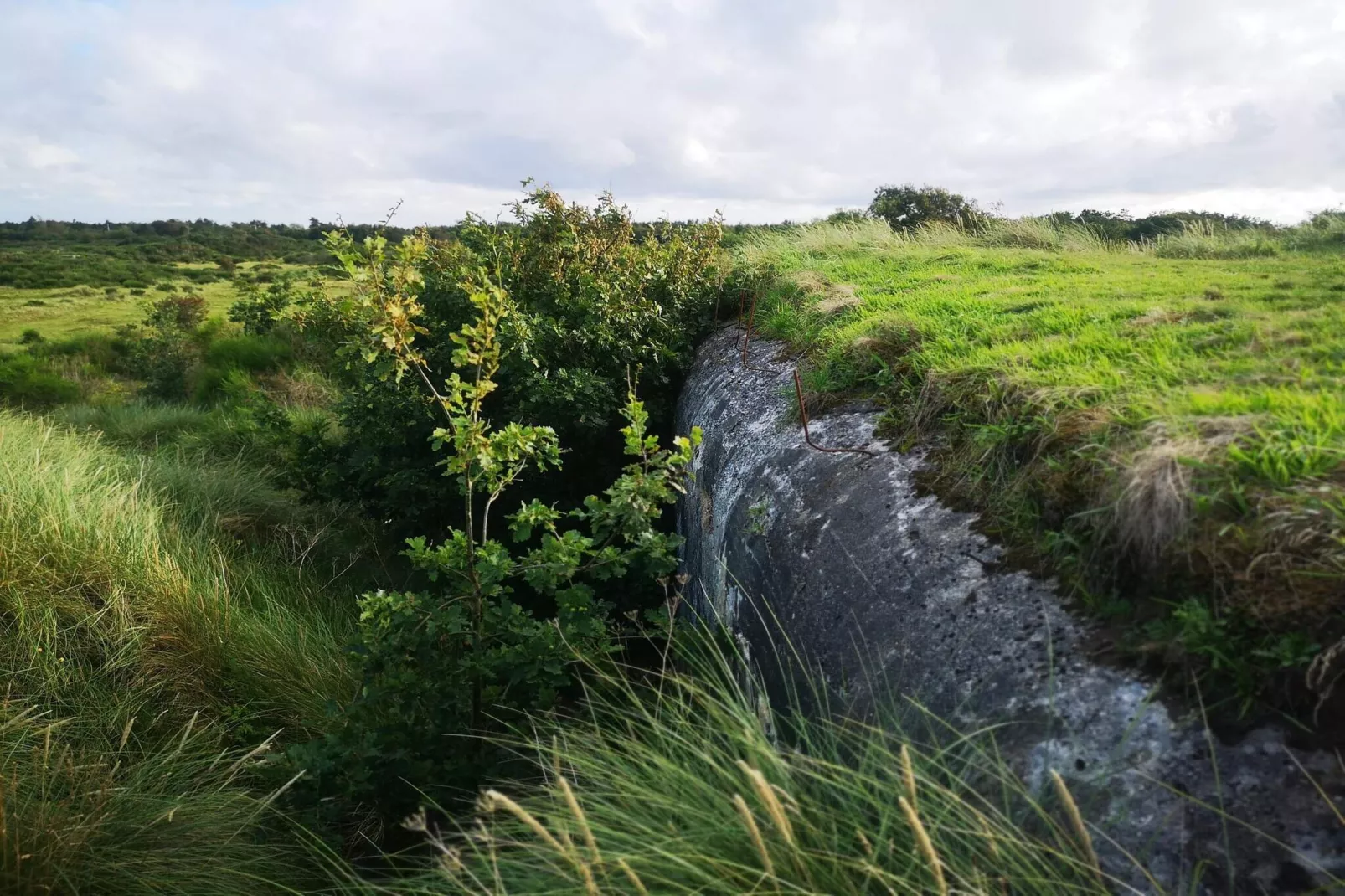 4 persoons vakantie huis in Skjern-By Traum-Niet-getagd