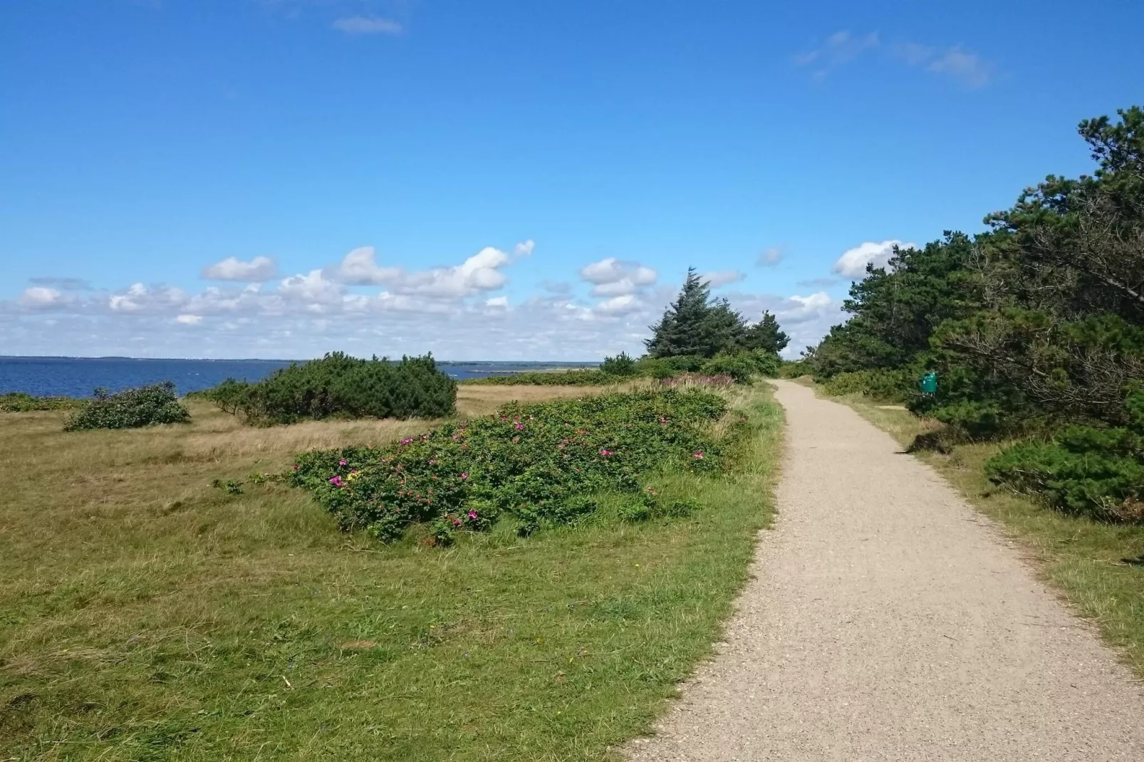Rustige oase bij fjord -- By Traum Ferienwohnungen-Niet-getagd
