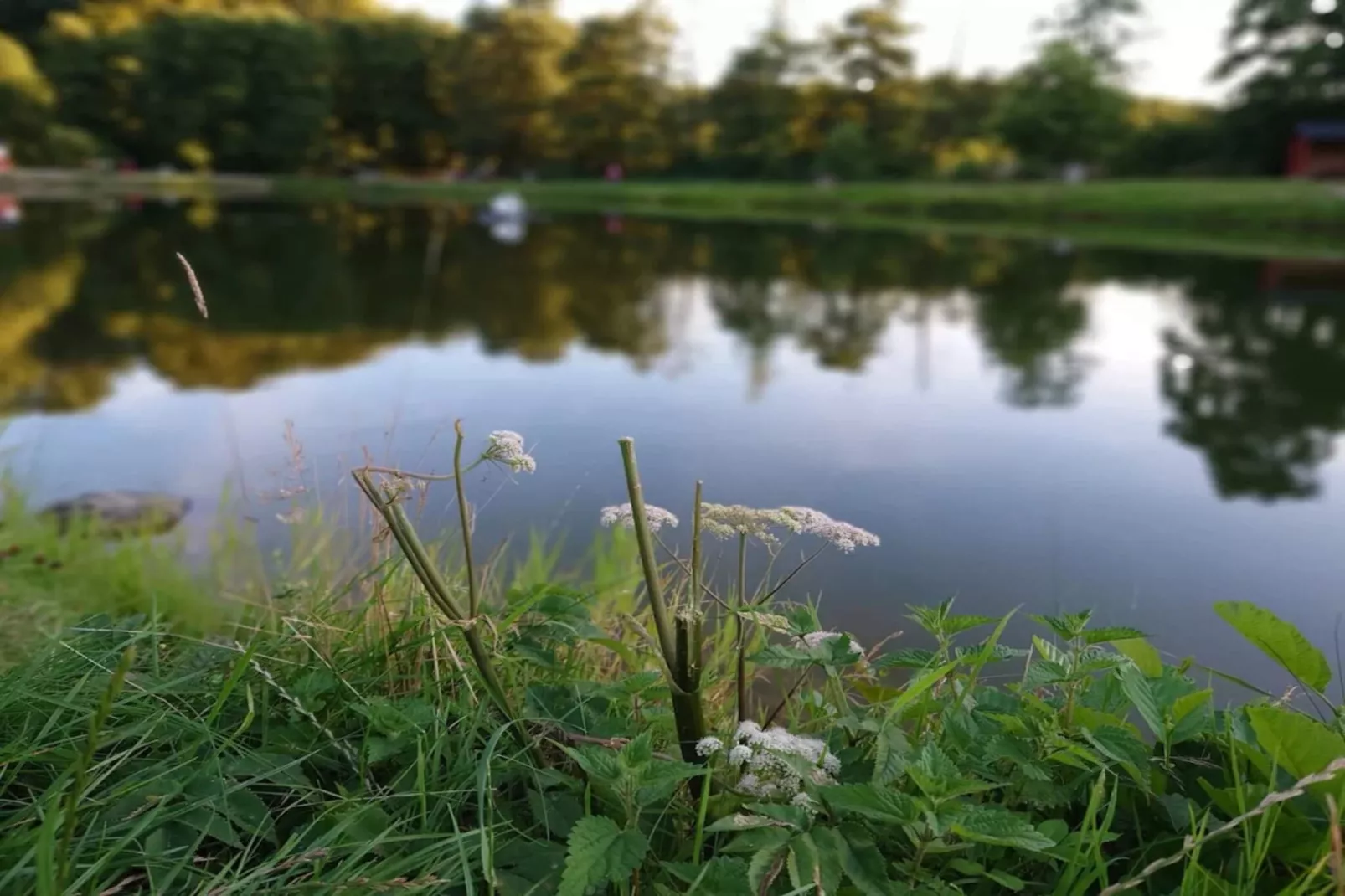 Luxe retraite bij Asbolholm -- By Traum Ferienwohnungen-Waterzicht