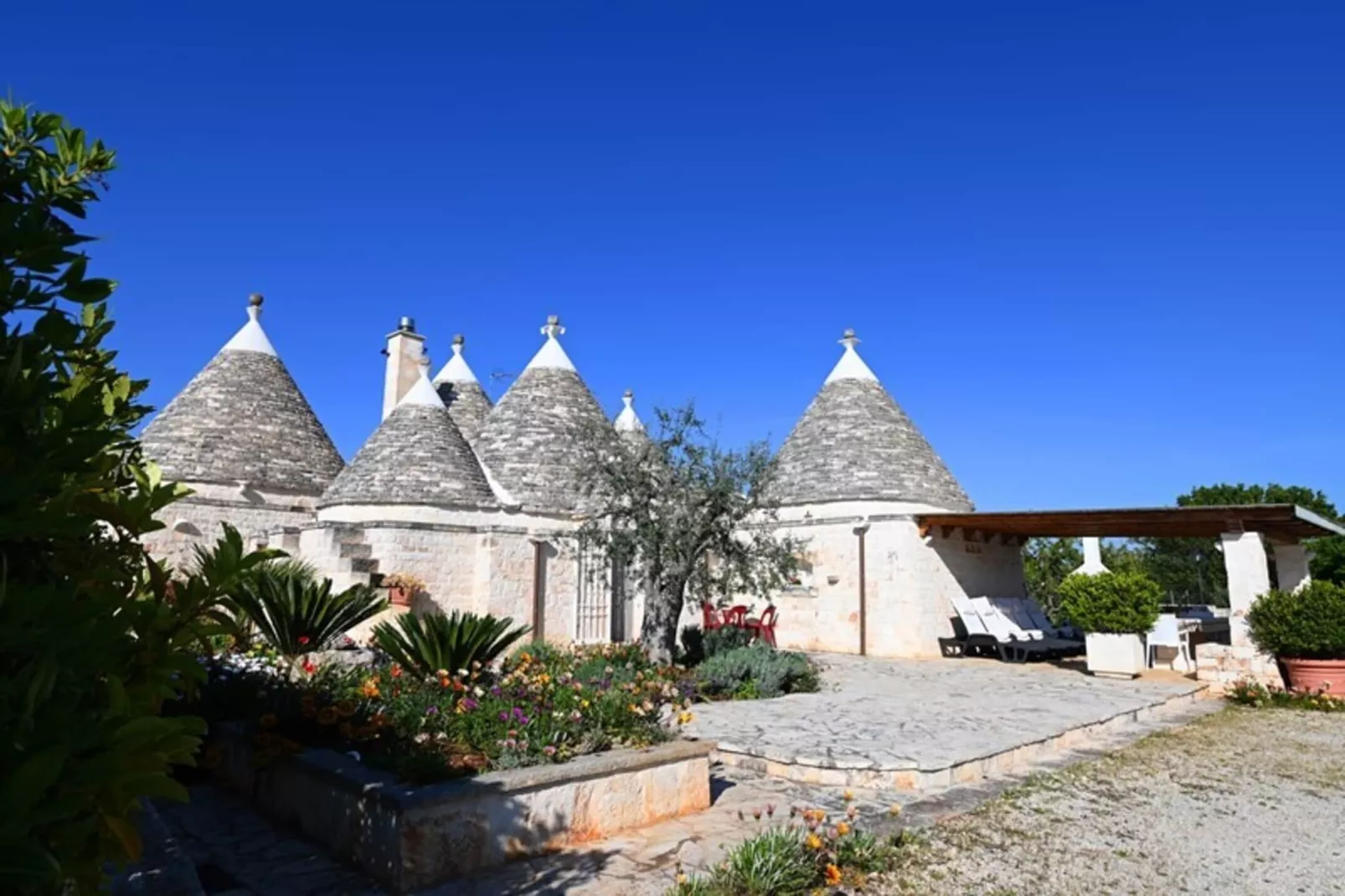 Holiday home Cisternino-Trullo Ulivo Antico-Buitenkant zomer